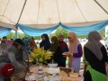 Tn 117 DSC 1571